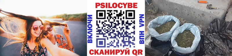 Псилоцибиновые грибы Magic Shrooms  Кемь 